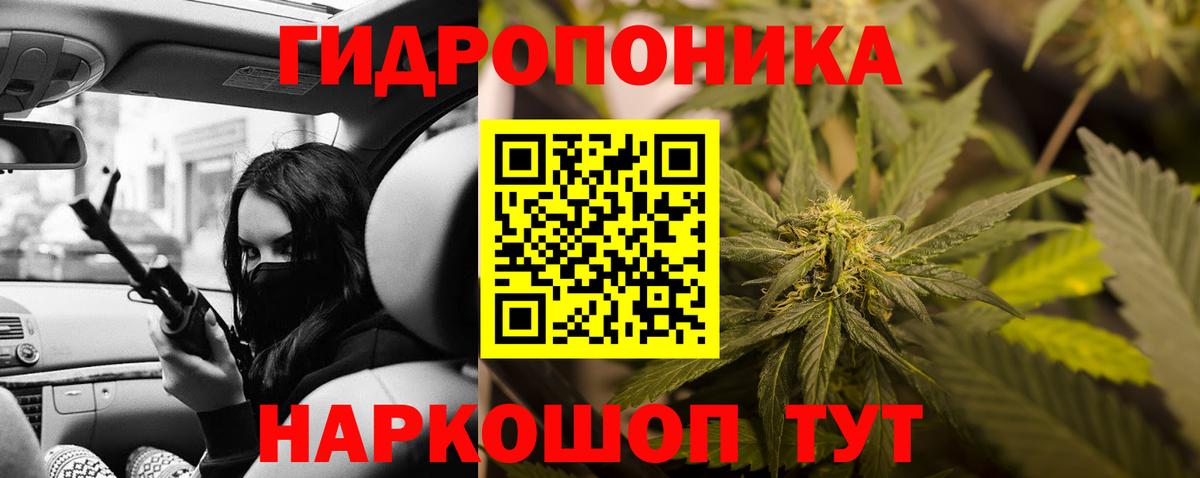 Шишки марихуана планчик Истра